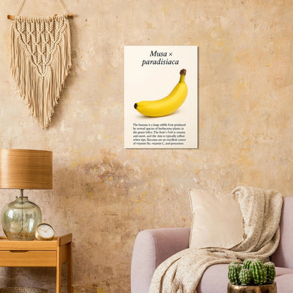 Frukter – Banan Botanisk Poster: Gul Frukt Konsttryck på Halvblankt Papper, i Flera Storlekar
