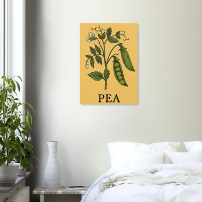Frukter Pea Pod Print: En tidlös botanisk poster för ditt hem