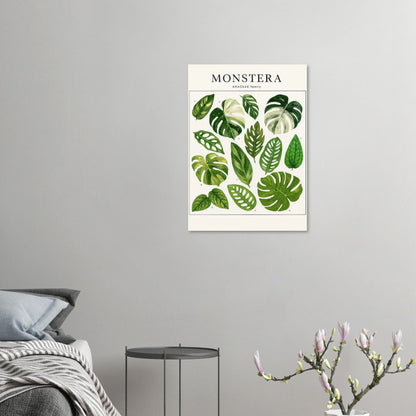 Monstera Botanical Art Print - Premium Green Leaf Illustration Poster in Various Sizes
