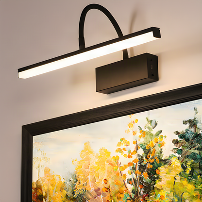 Rechargeable Gooseneck Picture Light