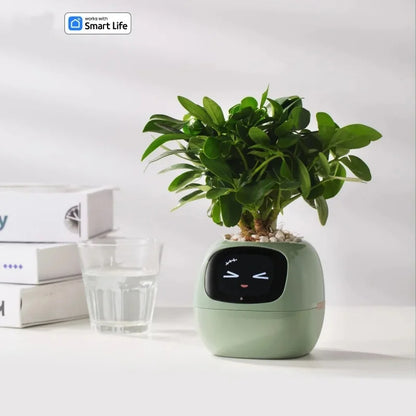 Smart liten blomkruka