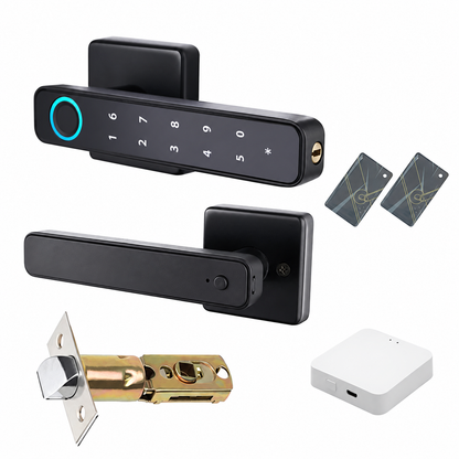 Fingerprint Lever Door Handle with Key Backup