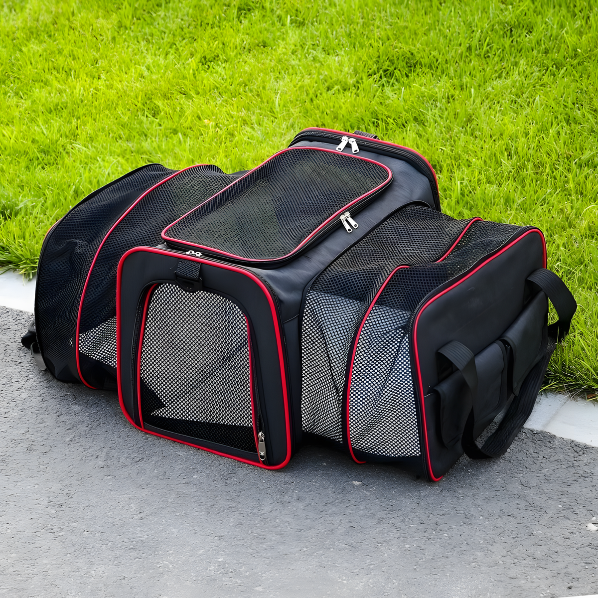 Expandable Pet Travel Carrier