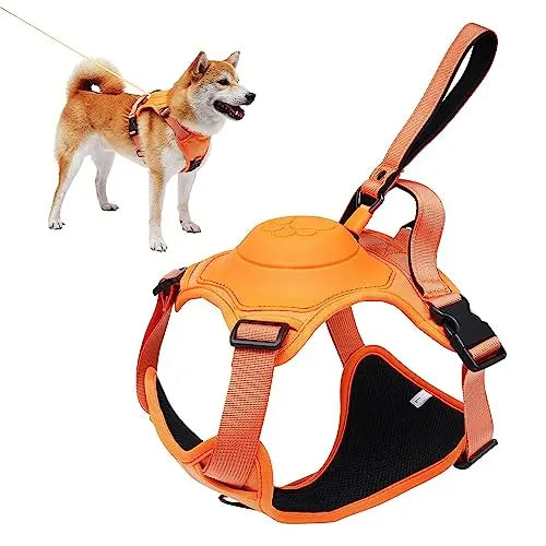 Hundsele och automatiskt infällbart koppelkit