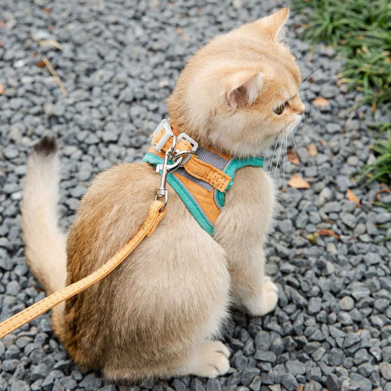 Kattvästsele koppel set