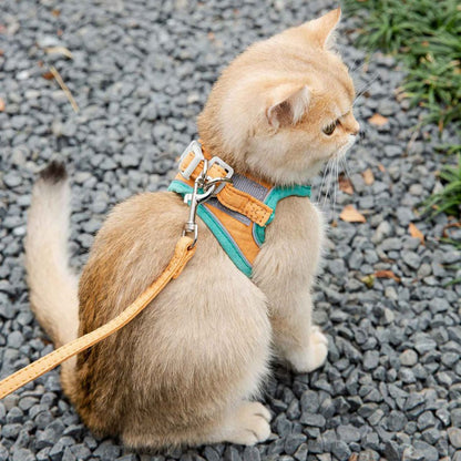 Kattvästsele koppel set