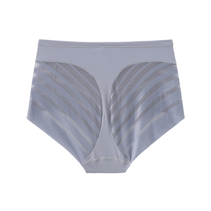 Tummy-Control Mesh Briefs