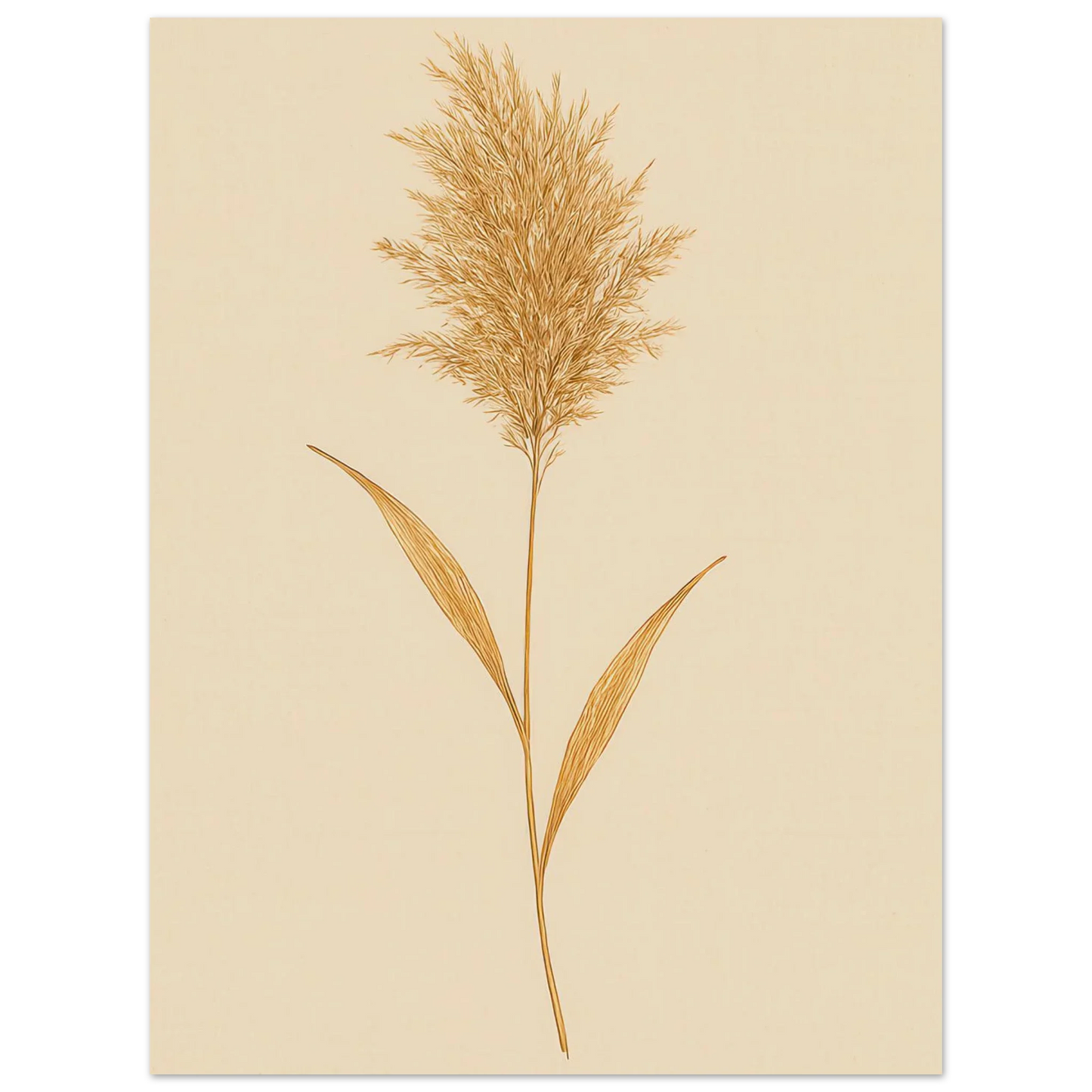 Frukter – Elegant Pampasgräs Botanisk Affisch i Jordnära Toner, Premium Halvblankt Papper