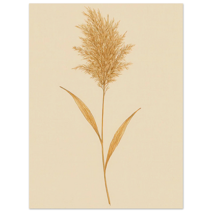 Frukter – Elegant Pampasgräs Botanisk Affisch i Jordnära Toner, Premium Halvblankt Papper