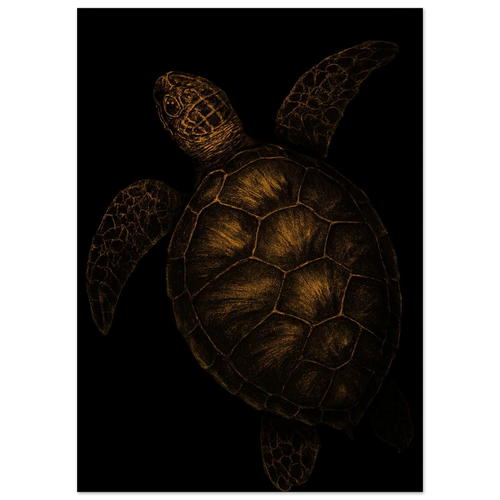 Djur: Golden Sea Turtle Art Print – Timeless Ocean Elegance for Your Home, Available in Multiple Sizes