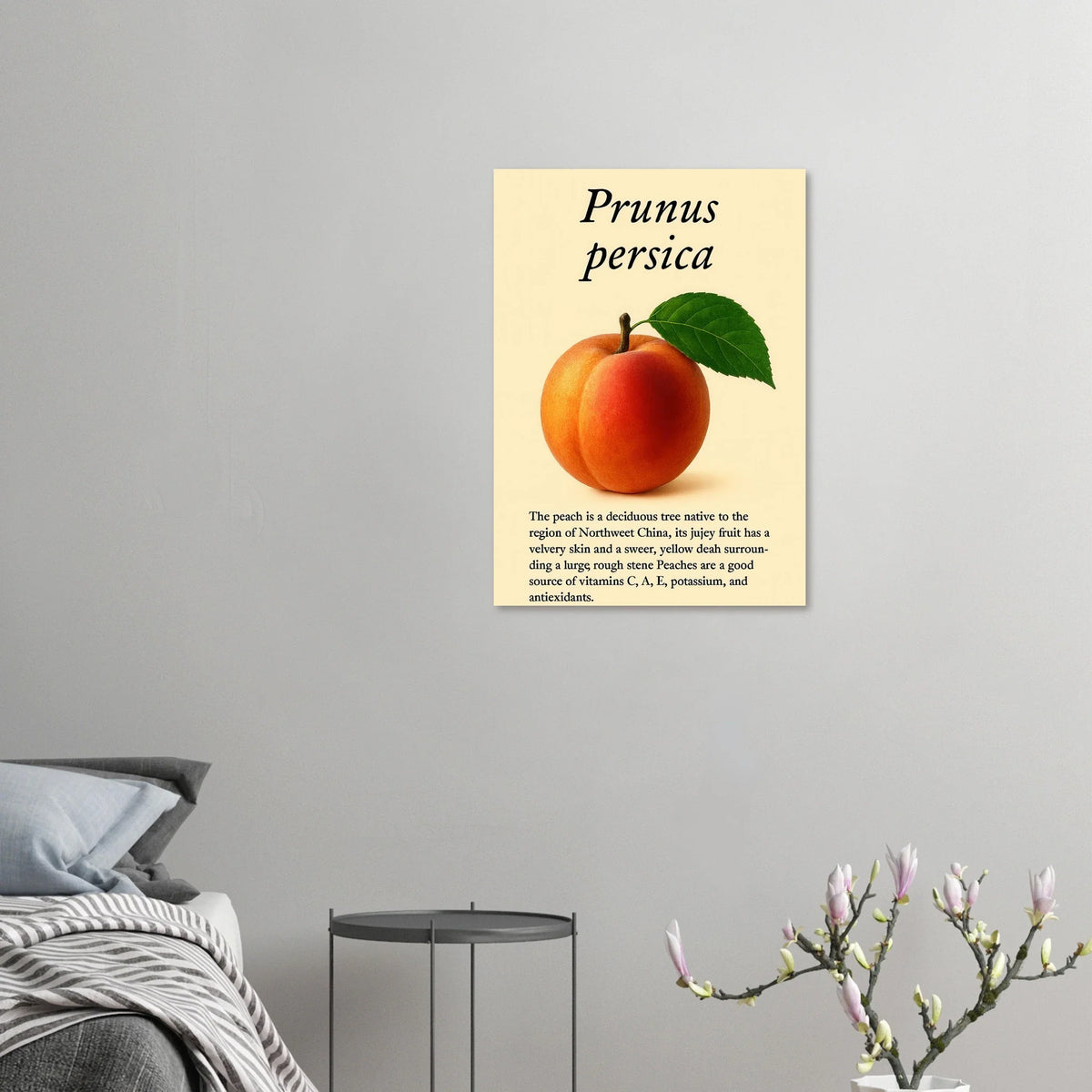 Frukter: Fresh Peach Botanical Art Print – Vibrant & Velvety 'Prunus persica' Poster in Your Choice of Sizes