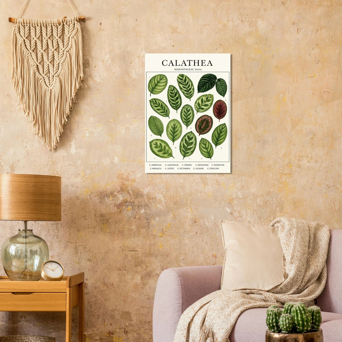 Calathea Botanical Study Poster – Elegant Plant Art Print for Nature Lovers, available in 29 Sizes