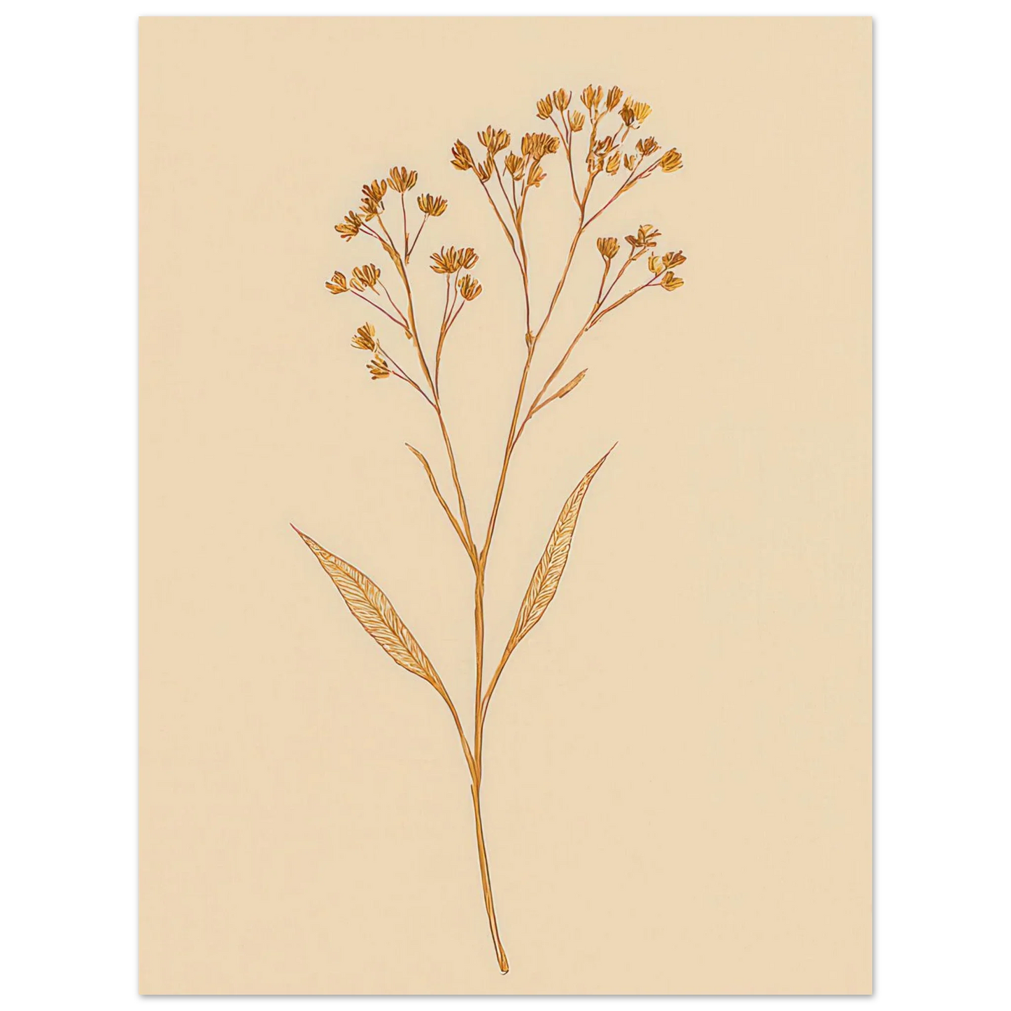 Frukter – Elegant Botanical Line Art Print on Premium Halvblankt Paper
