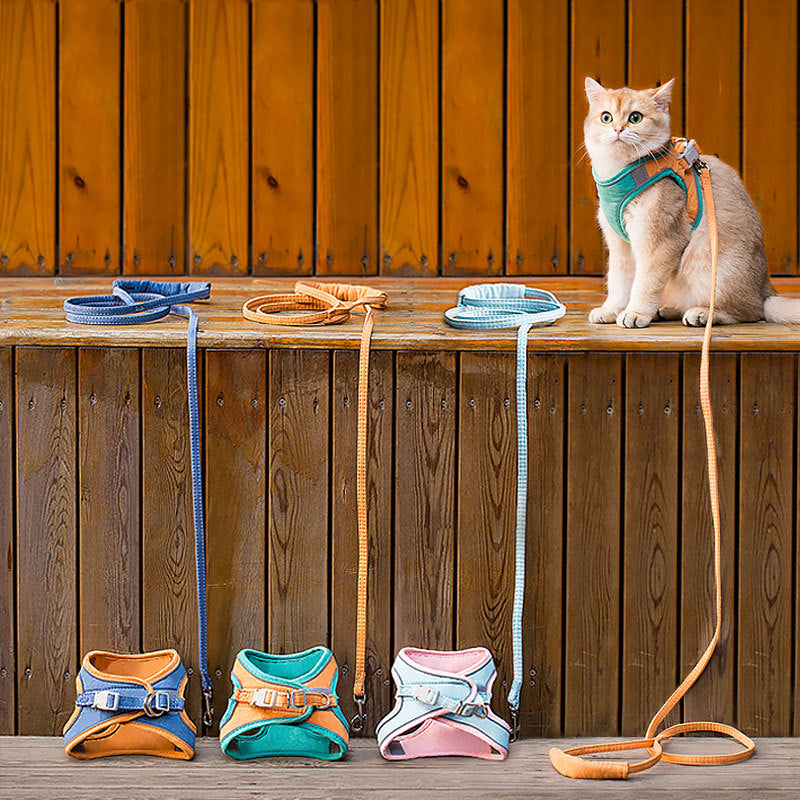 Kattvästsele koppel set