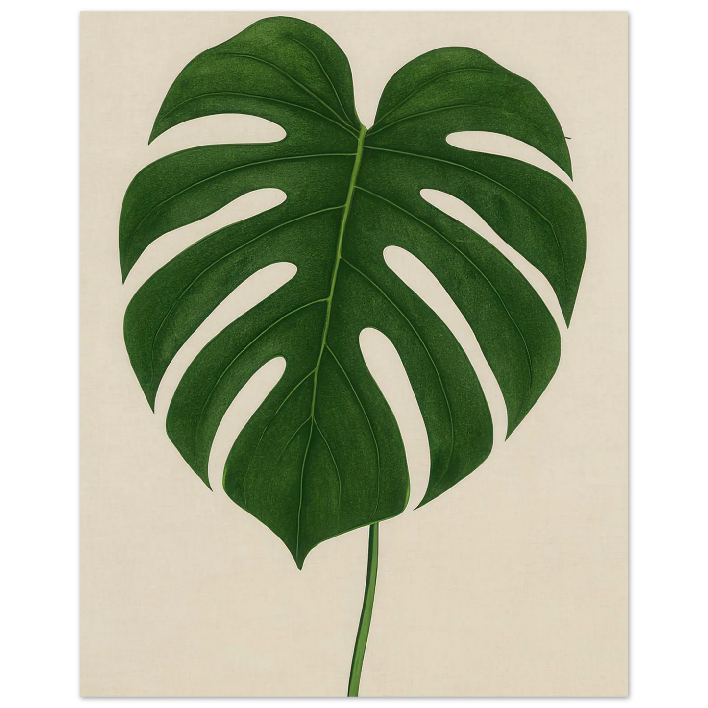 Monstera Elegans: Frukter Botanical Print - Naturens Skönhet för ditt Hem