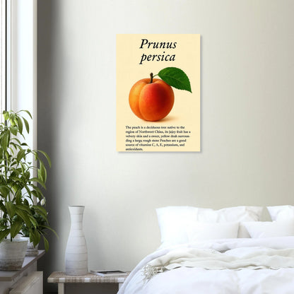 Frukter: Fresh Peach Botanical Art Print – Vibrant & Velvety 'Prunus persica' Poster in Your Choice of Sizes