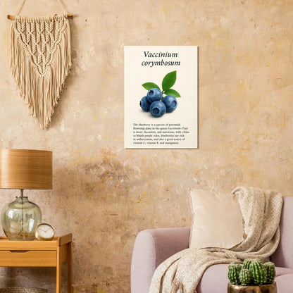 Frukter Botanisk Poster: Vaccinium Corymbosum (Blåbär) Konsttryck med levande blå nyanser och din valda storlek