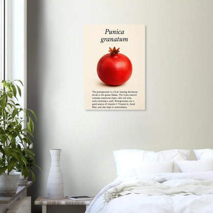 Frukter - Vibrant Pomegranate Botanical Print Poster, Available in Multiple Sizes