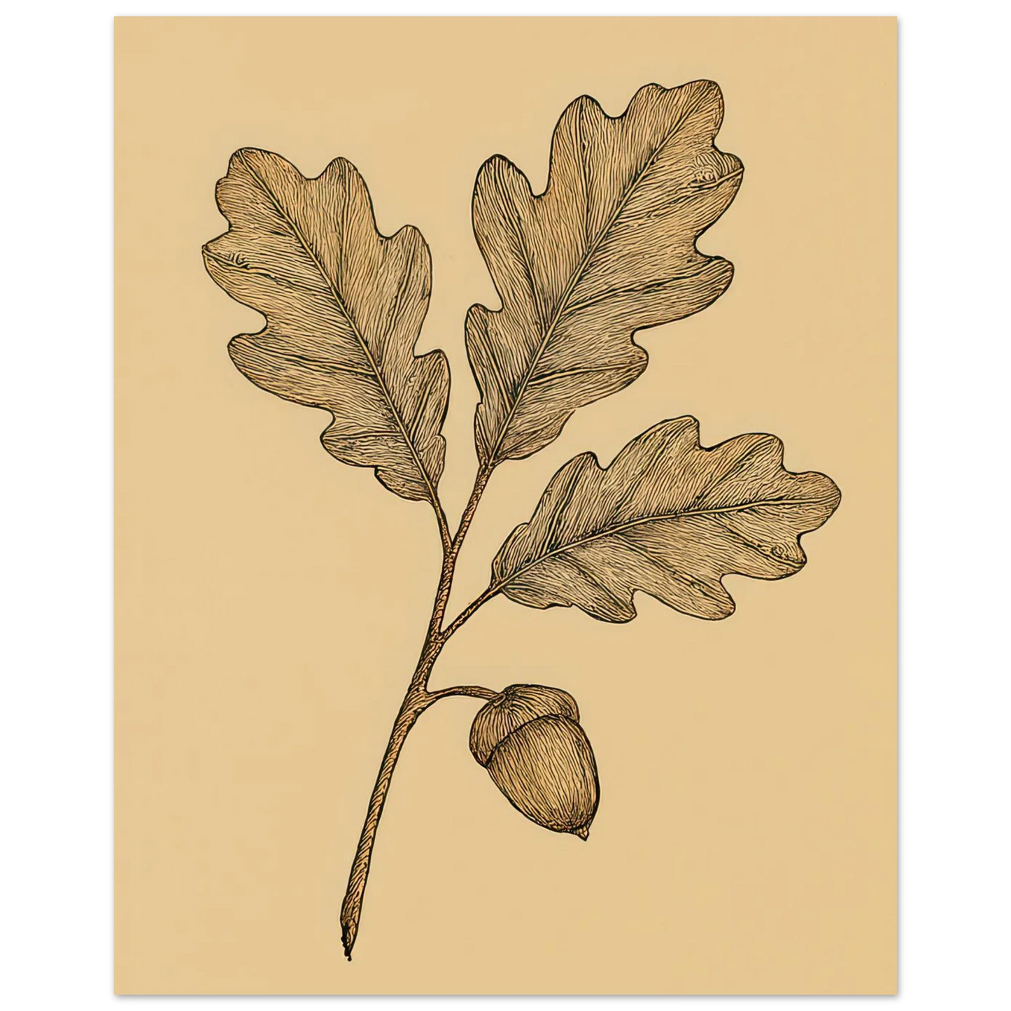 Frukter Oak Leaf & Acorn Botanical Art Print – Timeless Nature-Inspired Wall Decor in Various Sizes