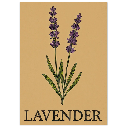 Frukter Lavendel Botanisk Illustration Affisch - Ljus & Livfull Väggkonst i Olika Storlekar