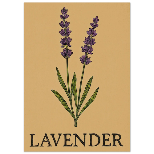 Frukter Lavendel Botanisk Illustration Affisch - Ljus & Livfull Väggkonst i Olika Storlekar
