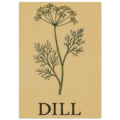 Frukter Dill Herb Botanical Print – Timeless Kitchen Wall Art on Premium Semi-Gloss Paper