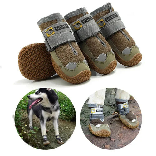 Andningsbara Hundskor för Sommaren – Skydda Tassarna