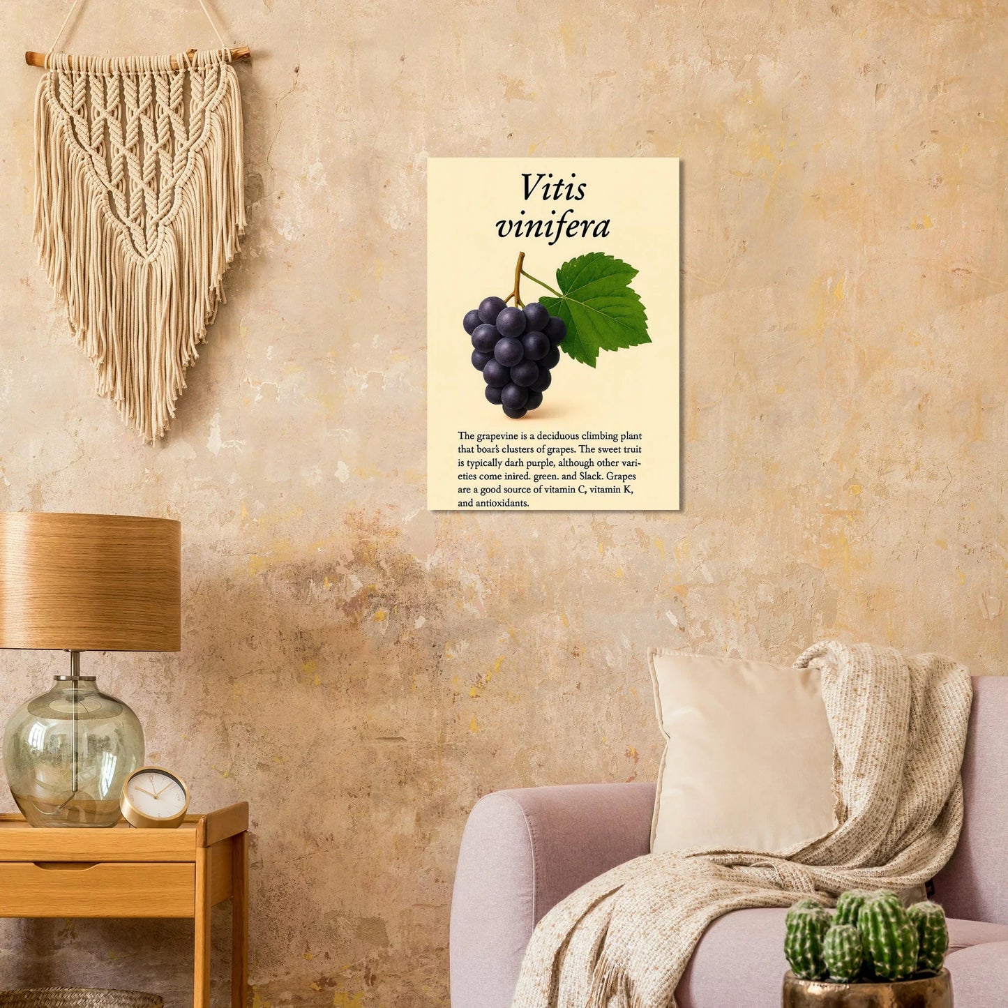 Frukter Vitis Vinifera Poster - Botanisk Druvkonsttryck på Premium Halvblankt Papper