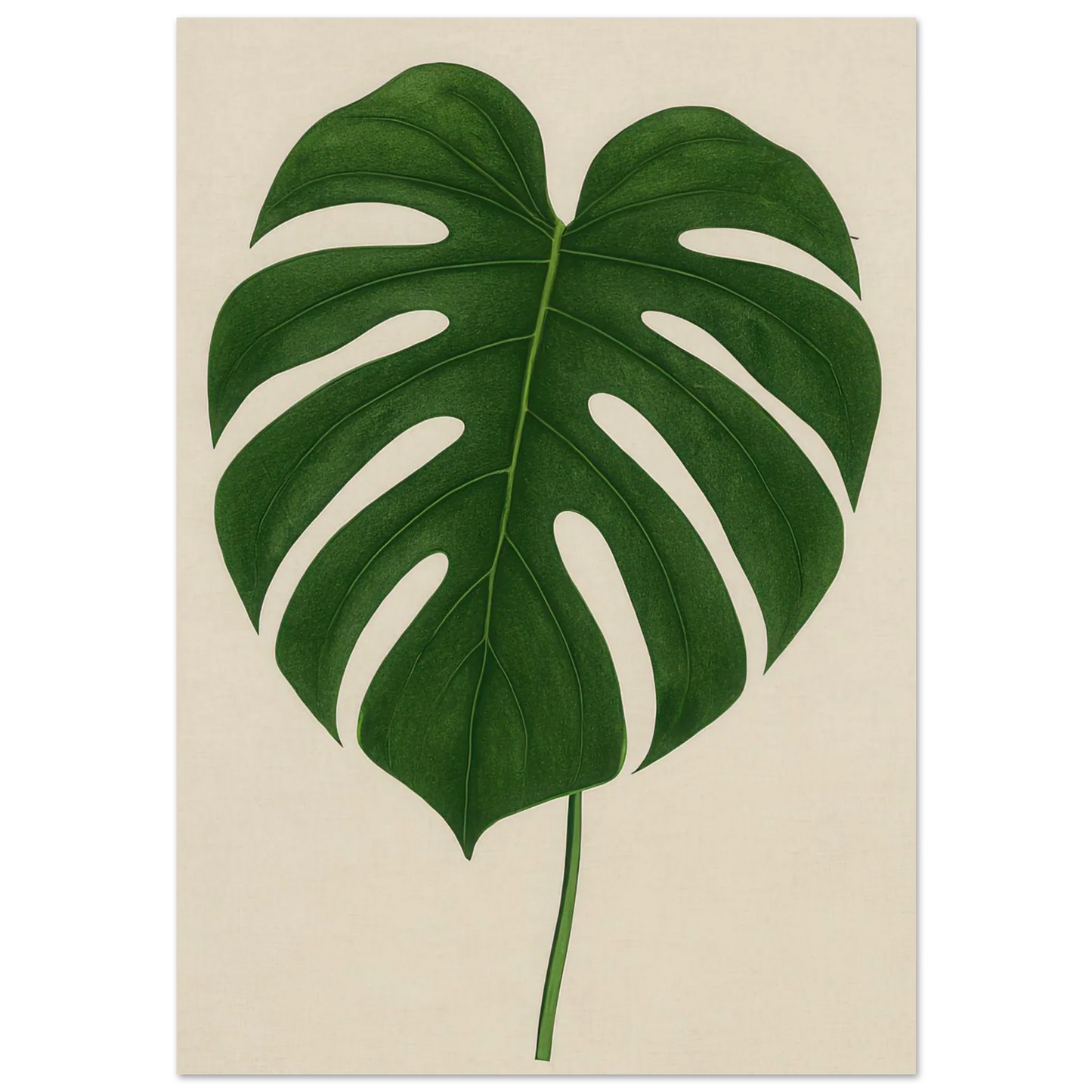 Monstera Elegans: Frukter Botanical Print - Naturens Skönhet för ditt Hem