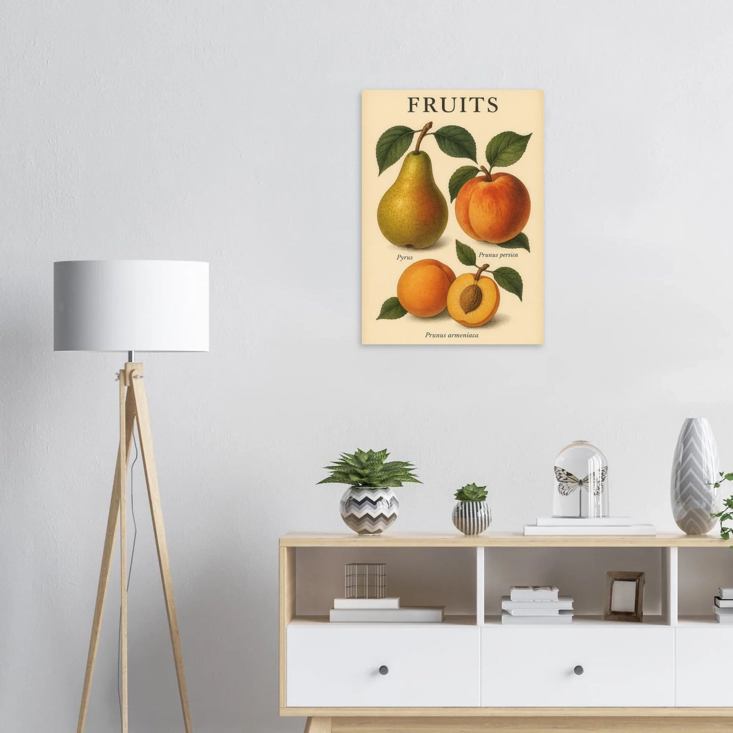Frukter – Botanisk Vintage Frukt Illustration Poster – Klassisk Konsttryck i Flera Storlekar