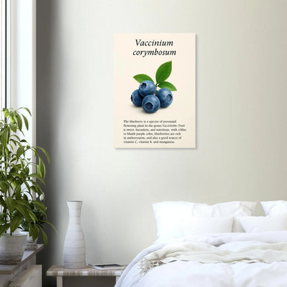 Frukter Botanisk Poster: Vaccinium Corymbosum (Blåbär) Konsttryck med levande blå nyanser och din valda storlek
