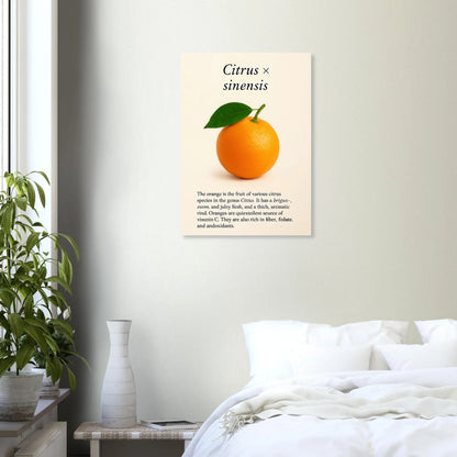 Frukter: Levande Apelsin Botanisk Konsttryck – Premium Halvblank Poster i Flera Storlekar
