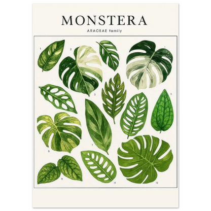 Monstera Botanical Art Print - Premium Green Leaf Illustration Poster in Various Sizes