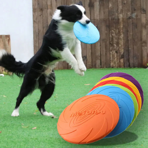 Hundfrisbee för aktiv lek | Slitstark frisbee för hundar