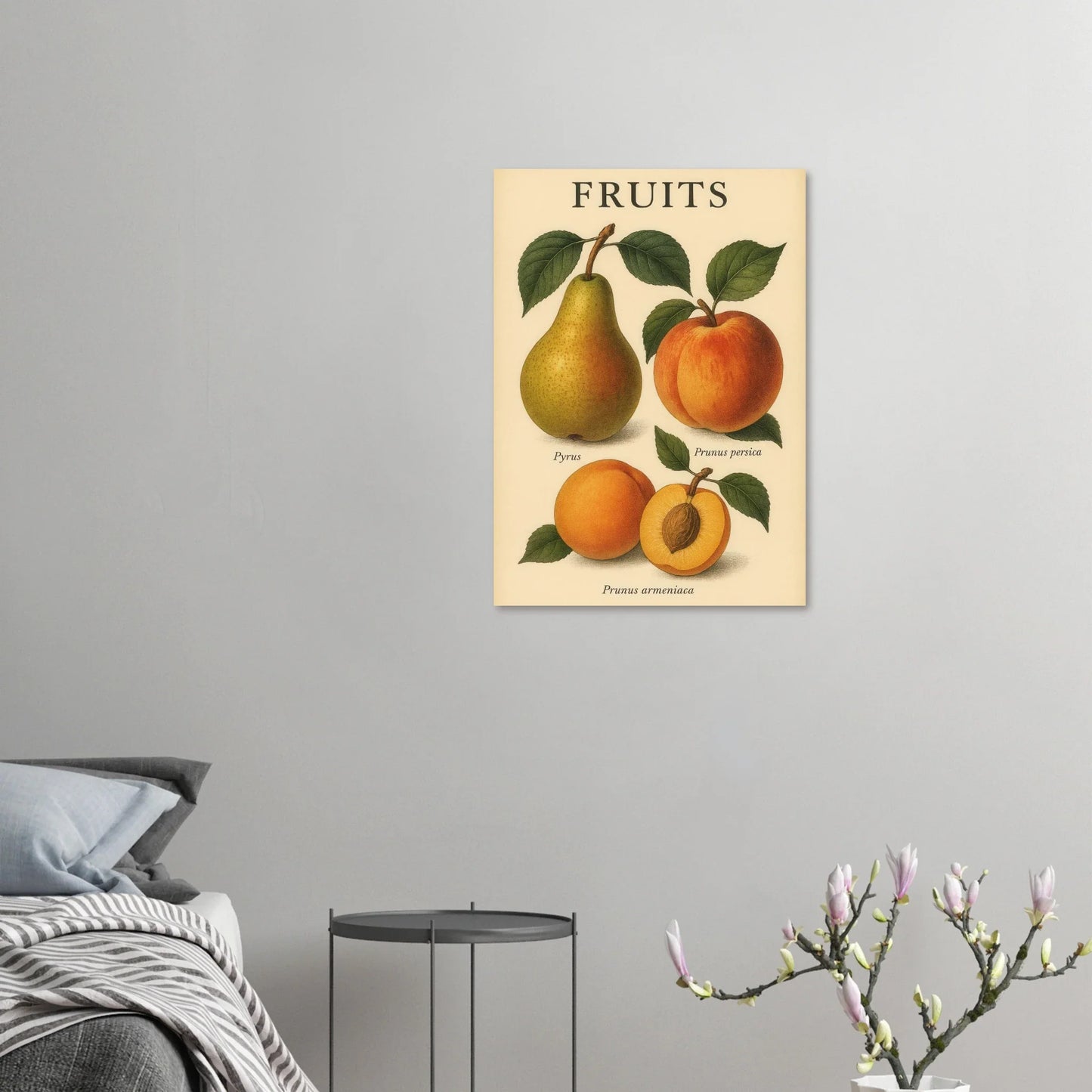 Frukter – Botanisk Vintage Frukt Illustration Poster – Klassisk Konsttryck i Flera Storlekar