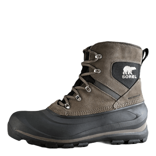 Buxton Lace Major / Black