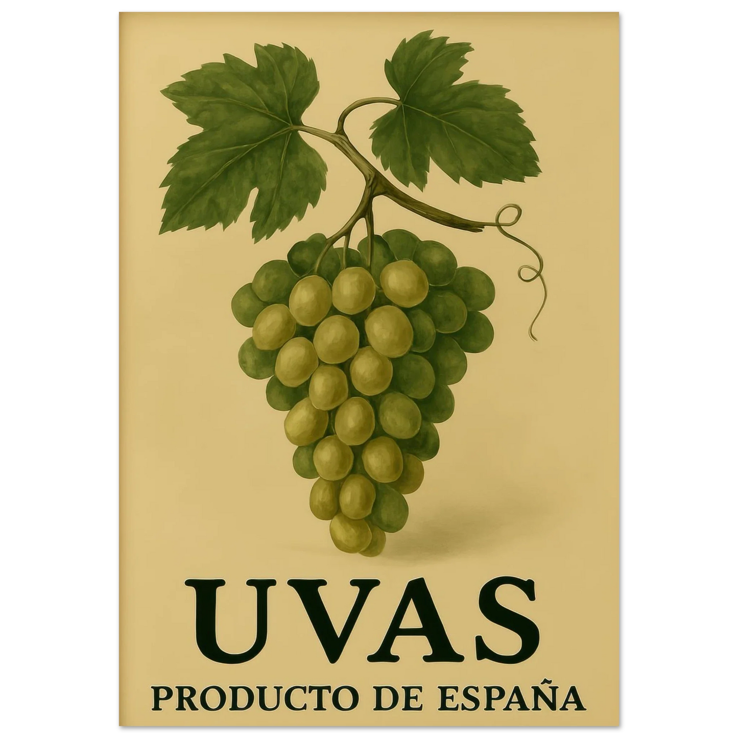 Vintage "Uvas" Product of Spain Poster - Classic Vineyard Wall Art Print for Your Home