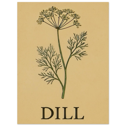 Frukter Dill Herb Botanical Print – Timeless Kitchen Wall Art on Premium Semi-Gloss Paper