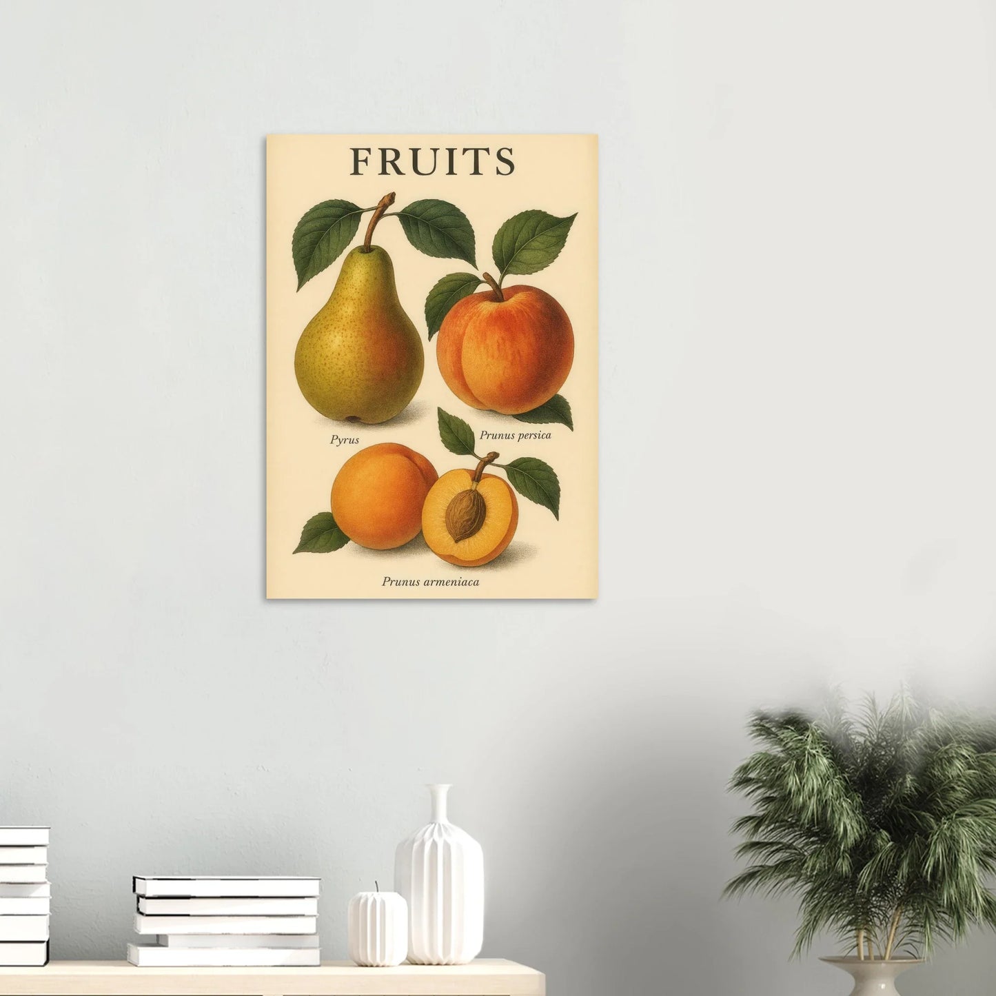 Frukter – Botanisk Vintage Frukt Illustration Poster – Klassisk Konsttryck i Flera Storlekar