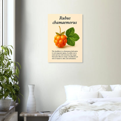 Rubus Chamaemorus Cloudberry Botanical Print - Vibrant Orange Fruit Wall Art Poster in Multiple Sizes