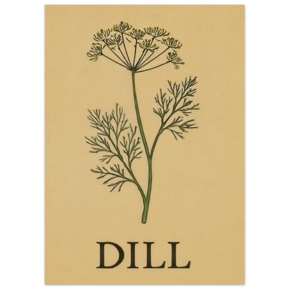 Frukter Dill Herb Botanical Print – Timeless Kitchen Wall Art on Premium Semi-Gloss Paper