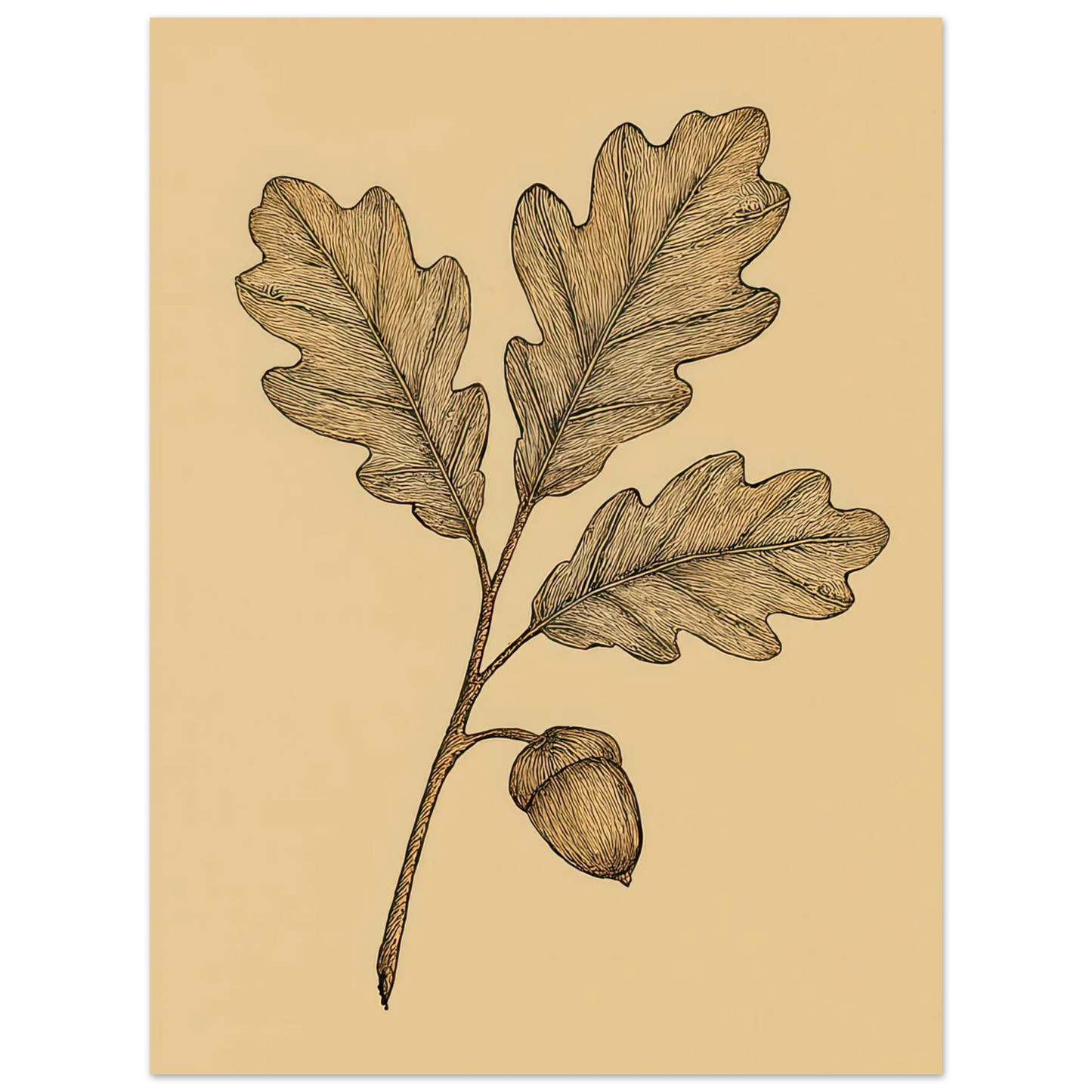 Frukter Oak Leaf & Acorn Botanical Art Print – Timeless Nature-Inspired Wall Decor in Various Sizes