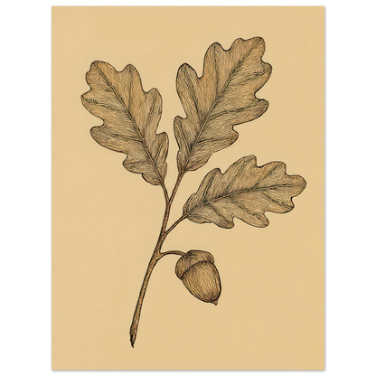 Frukter Oak Leaf & Acorn Botanical Art Print – Timeless Nature-Inspired Wall Decor in Various Sizes
