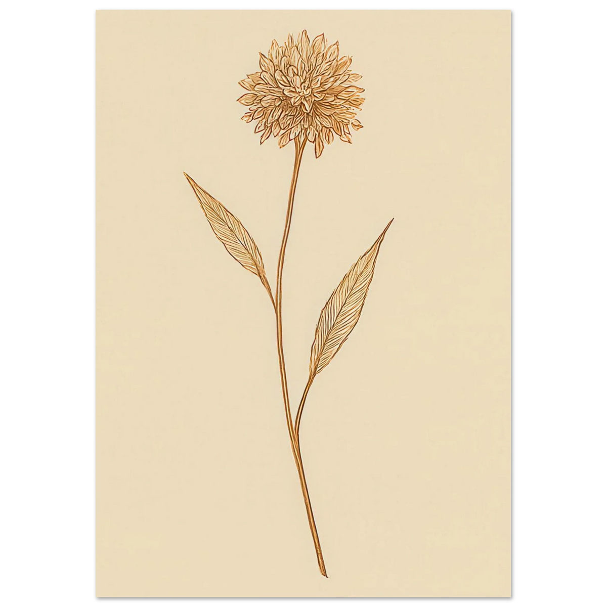 Frukter – Elegant Botanical Line Art Poster in Warm Sepia Tones