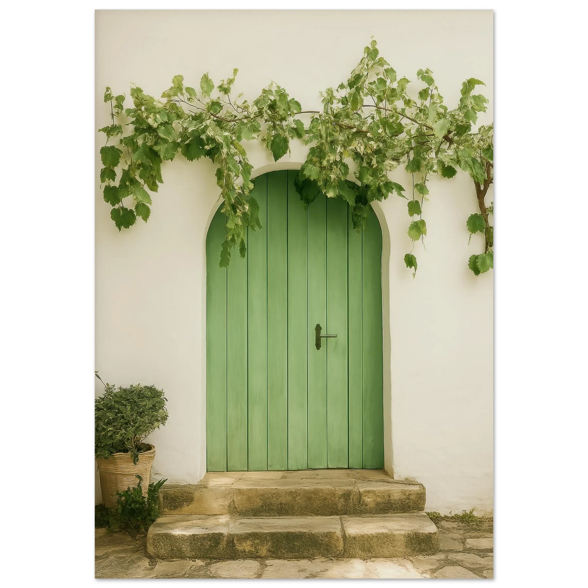Verdant Entrance: Mediterranean Charm Poster in Your Choice of 29 Sizes