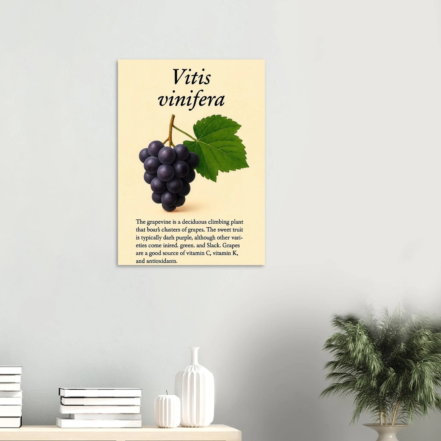 Frukter Vitis Vinifera Poster - Botanisk Druvkonsttryck på Premium Halvblankt Papper
