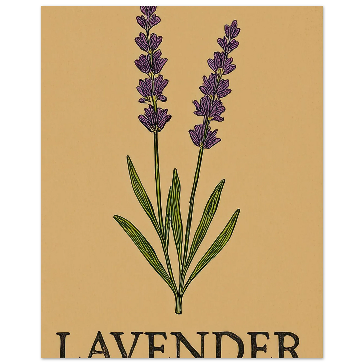 Frukter Lavendel Botanisk Illustration Affisch - Ljus & Livfull Väggkonst i Olika Storlekar