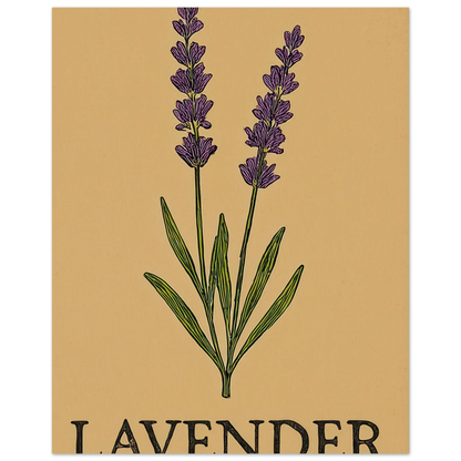 Frukter Lavendel Botanisk Illustration Affisch - Ljus & Livfull Väggkonst i Olika Storlekar