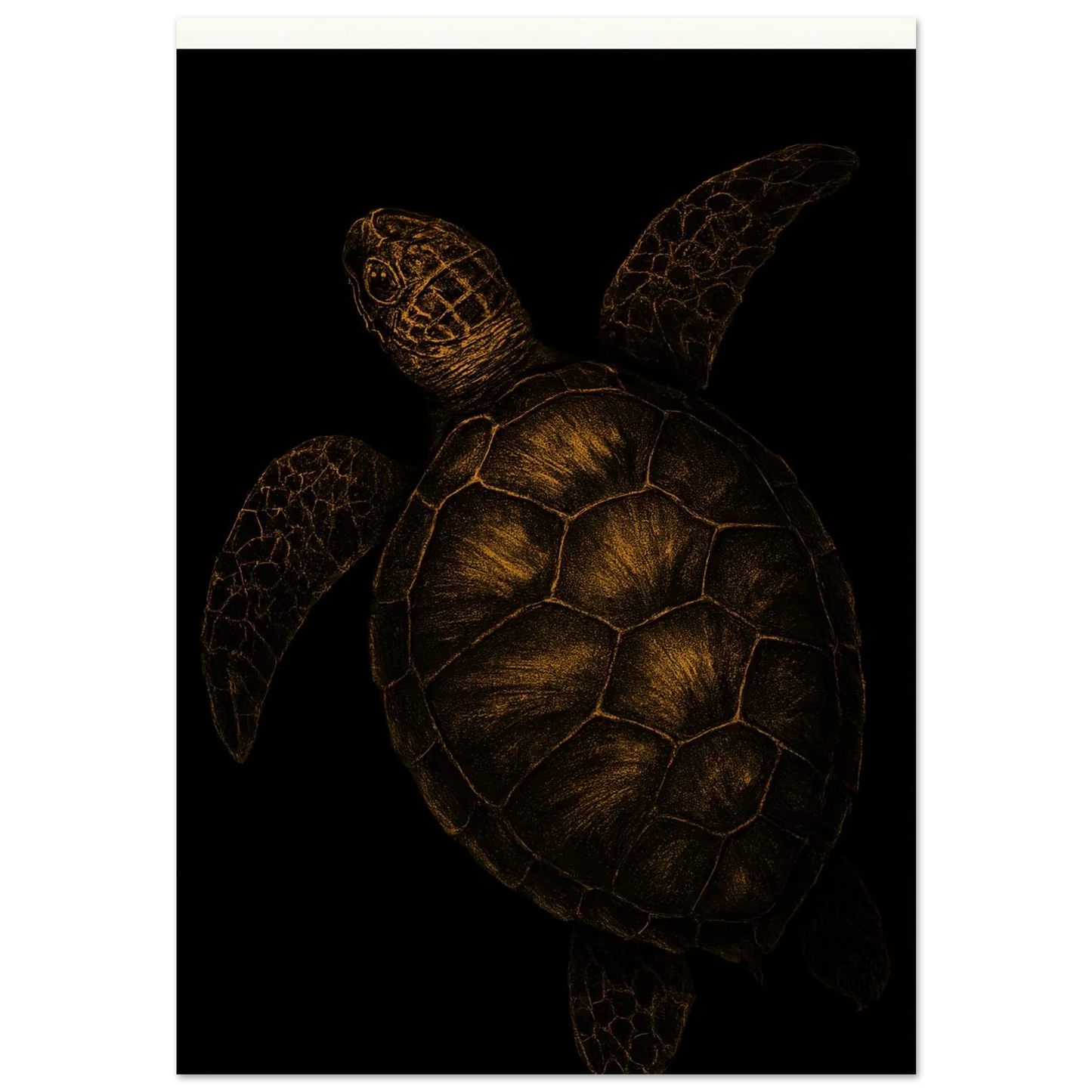 Djur: Golden Sea Turtle Art Print – Timeless Ocean Elegance for Your Home, Available in Multiple Sizes