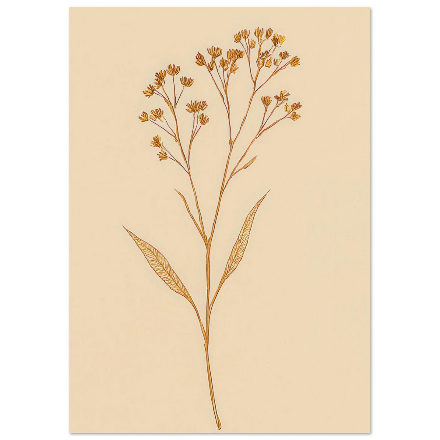 Frukter – Elegant Botanical Line Art Print on Premium Halvblankt Paper